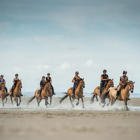 Blue Ocean Cocoon Дом отдыха